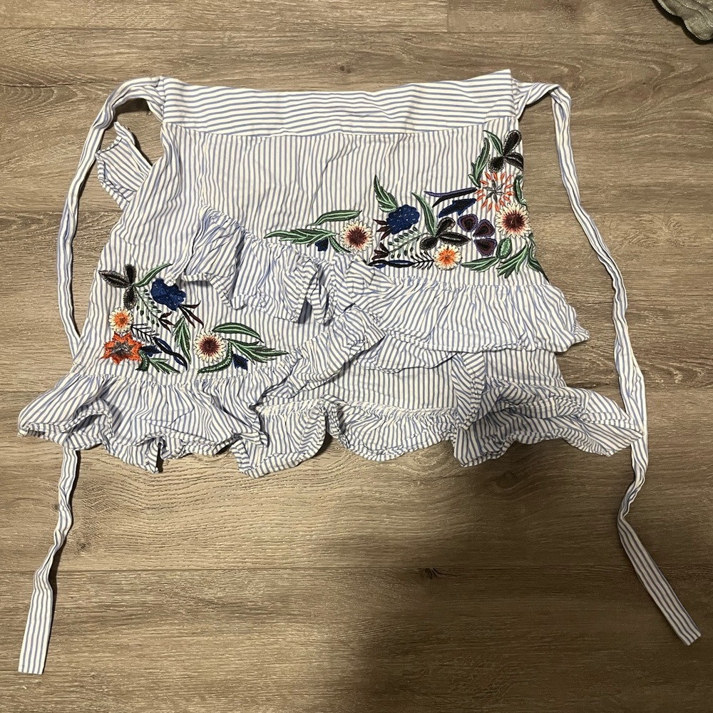 Zara Striped Embroidered Skirt